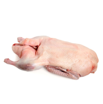 Frozen Whole Large Duck