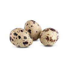 Quail Eggs